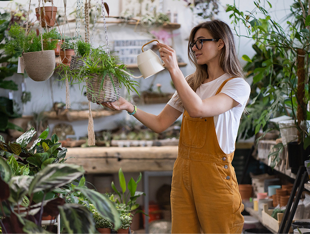Plant care services