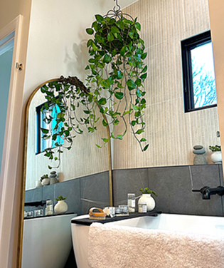 Bathroom plants